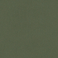 Beta 1106-6