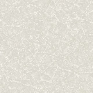 Signature 1007-1