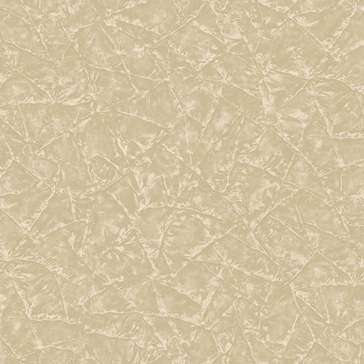 Signature 1007-2