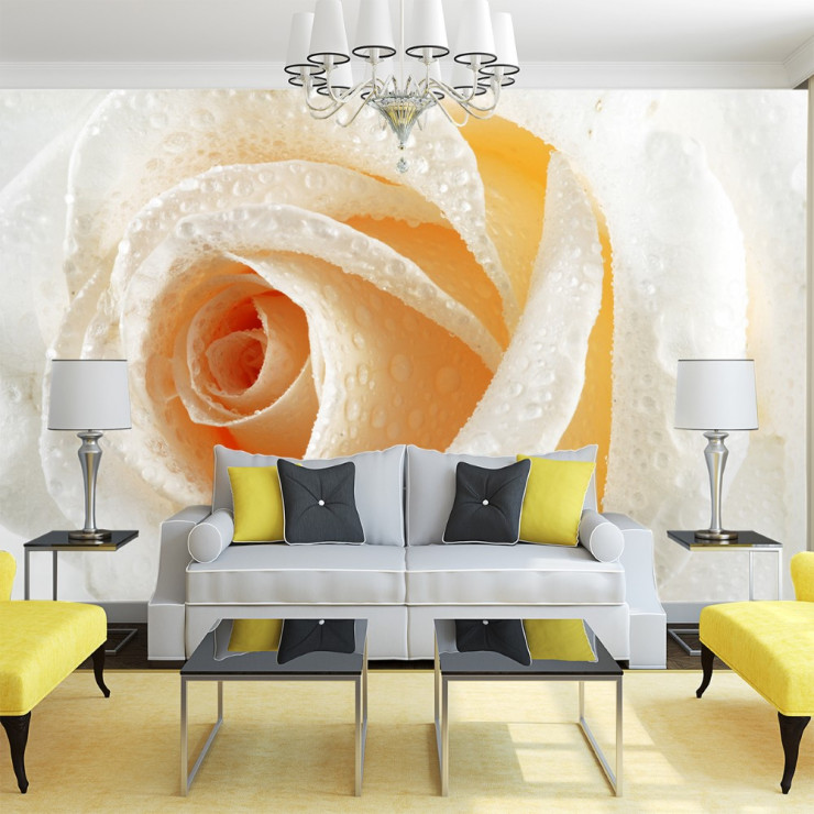 3D Sarı -Beyaz gül Duvar Posteri