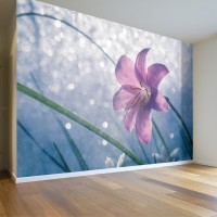 3D Çiçek Lily Duvar Posteri