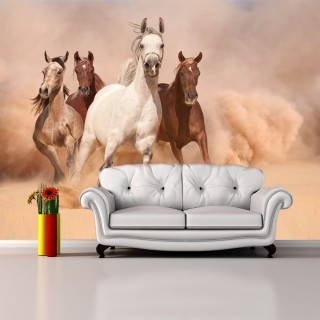Koşan Atlar 3D Duvar Kağıdı