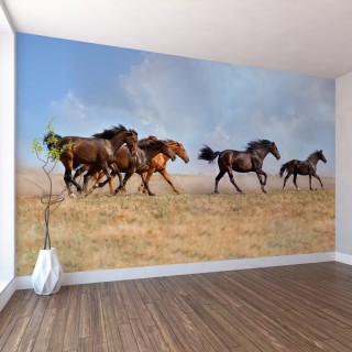 Çölde Koşan Atlar Duvar Posteri