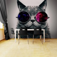 Gözlüklü Kedi Duvar Posteri