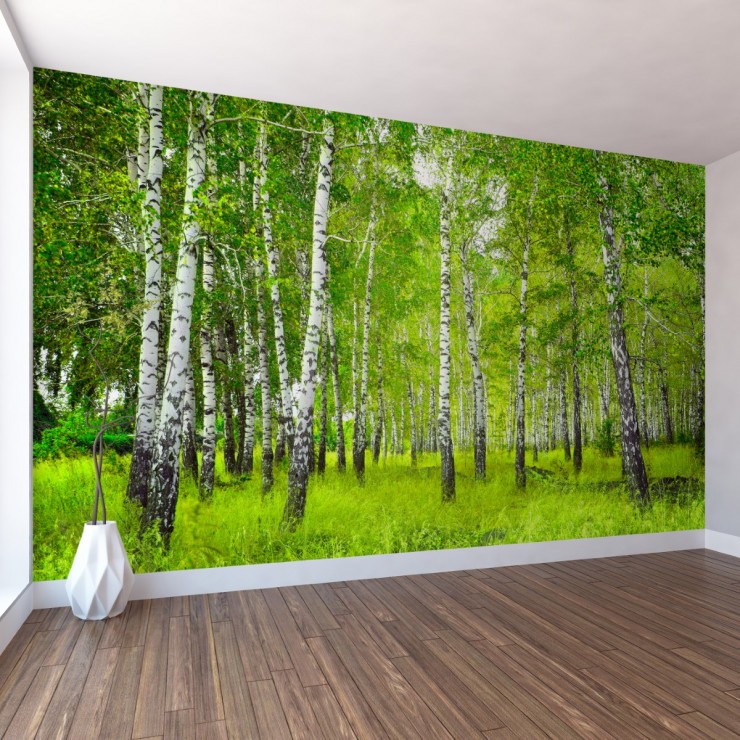 Huş Ormanı Duvar Posteri