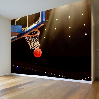 Basketbol Potası Duvar Posteri