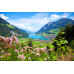 İsviçre Lake Lungern Gölü Duvar Posteri