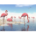 Su İçen Flamingolar Duvar Posteri