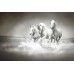 Beyaz Atlar 3D Duvar Kağıdı
