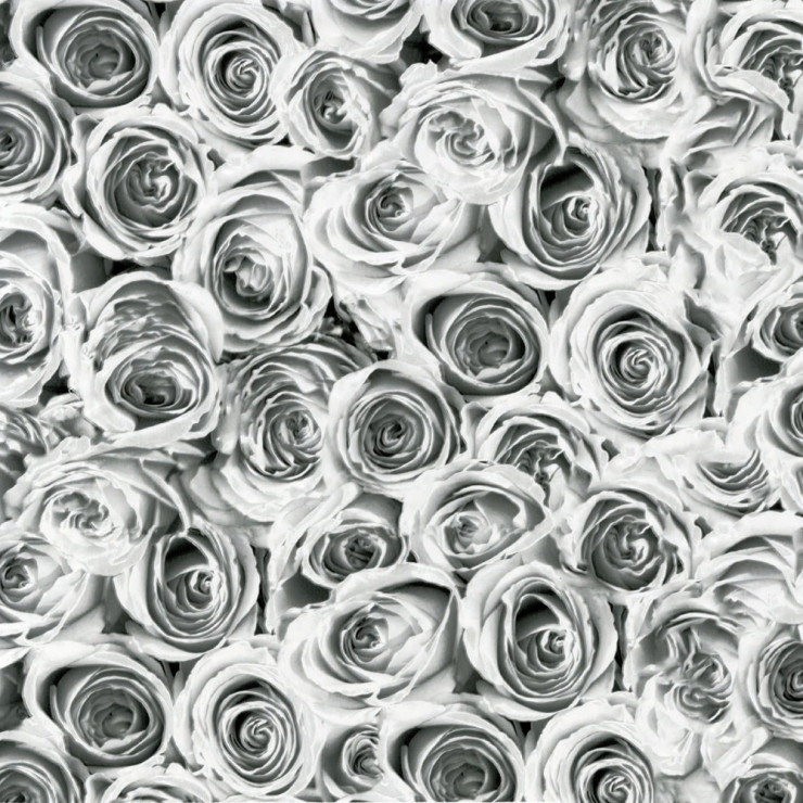 GEKKOFİX FOLYO Roses Beyaz Gri