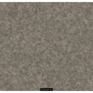 202405-5